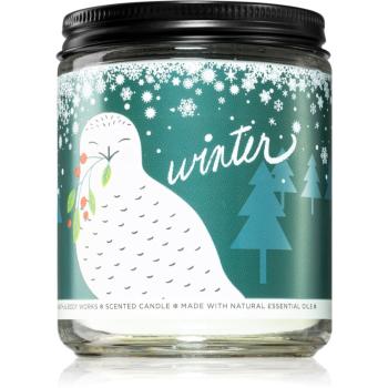 Bath & Body Works Winter vonná sviečka 198 g