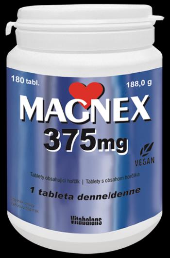 Vitabalans Oy Magnex 375 mg 180 tabliet
