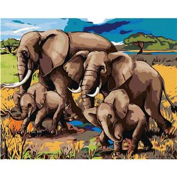 Maľovanie podľa čísel – Rodinka slonov (HRAmal00101nad)