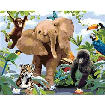 Maľovanie podľa čísel - Sloníča medzi zvieracími kamarátmi (Howard Robinson) (HRAbz33435nad)