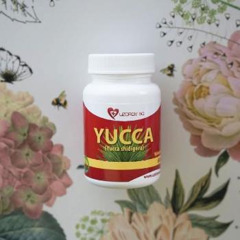 Yucca Shidigera - detoxikácia