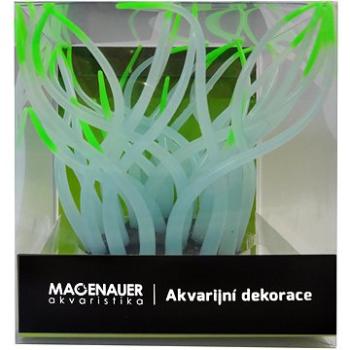 Macenauer Dekorácia Sea Anemone zelená/ružová (8595092800741)