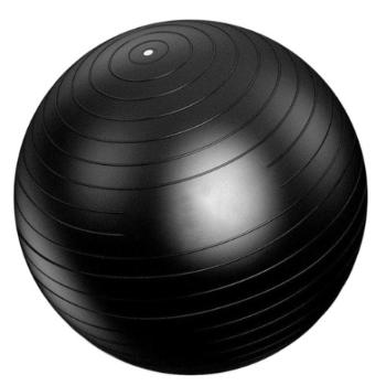 MG Gym Ball Fit lopta 65cm, čierna