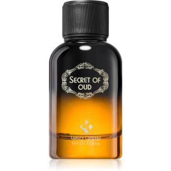 Luxury Concept Secret Of Oud parfumovaná voda unisex 100 ml