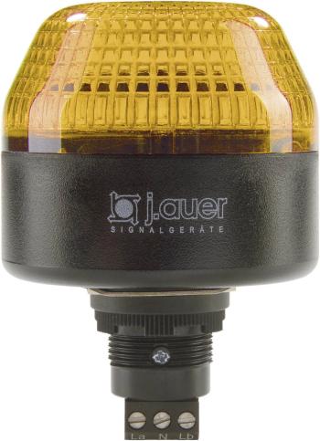 Auer Signalgeräte signalizačné osvetlenie LED ICL 802521405 oranžová oranžová blikanie 24 V/DC, 24 V/AC