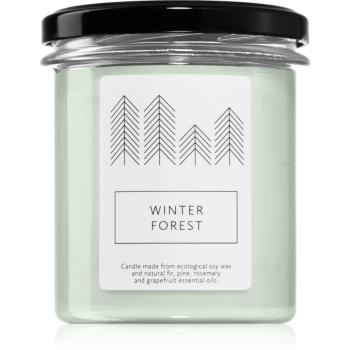 Hagi Winter Forest vonná sviečka 230 g