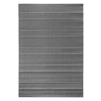 Sivý vonkajší koberec Hanse Home Sunshine, 120 × 170 cm