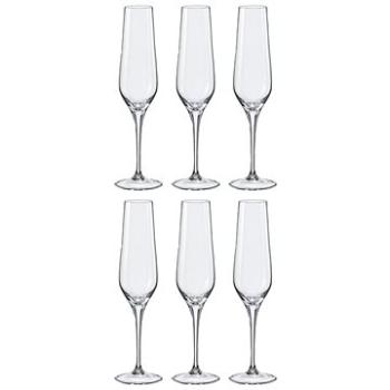 Crystalex poháre na šampanské REBECCA 195 ml 6 ks (124398)