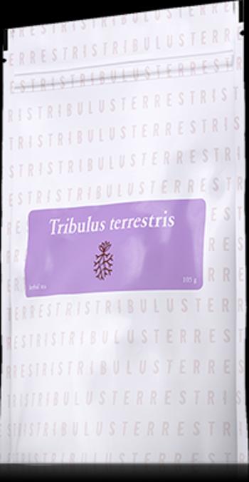 Tribulus Terrestris (kotvičník zemný) čaj
