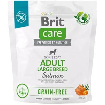 Brit Care Dog Grain-free s lososom Adult Large Breed 1 kg (8595602558919)