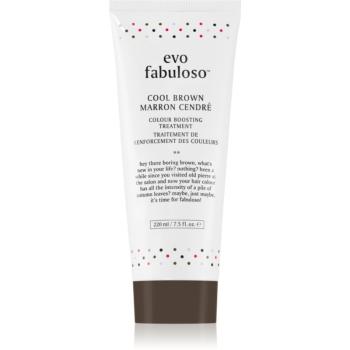 EVO Fabuloso Colour Boosting Treatment maska na vlasy pre zvýraznenie farby vlasov odtieň Cool Brown 220 ml