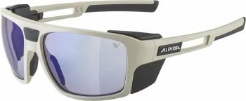 Alpina Skywalsh V Cool/Grey Matt/Blue