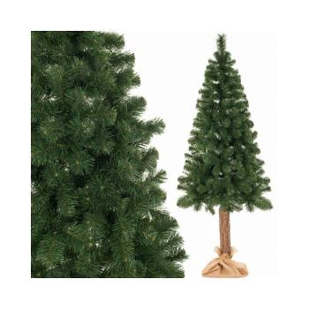 Vianočný stromček Borovica na kmienku 220 cm