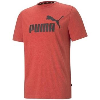Puma  Tričká s krátkym rukávom Essentials  Oranžová