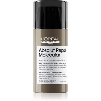 L’Oréal Professionnel Serie Expert Absolut Repair Molecular obnovujúca maska pre poškodené vlasy 100 ml