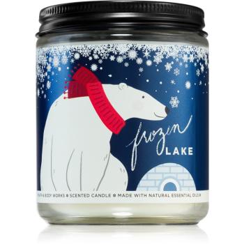 Bath & Body Works Frozen Lake vonná sviečka 198 g