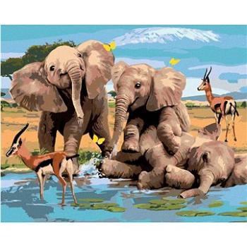 Maľovanie podľa čísel – Veselé slony a gazely pri vode (Howard Robinson) (HRAbz33434nad)