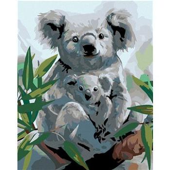 Maľovanie podľa čísel – Koala s mláďaťom (HRAmal00928nad)