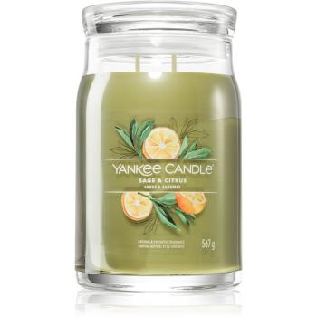 Yankee Candle Sage & Citrus vonná sviečka Signature 567 g