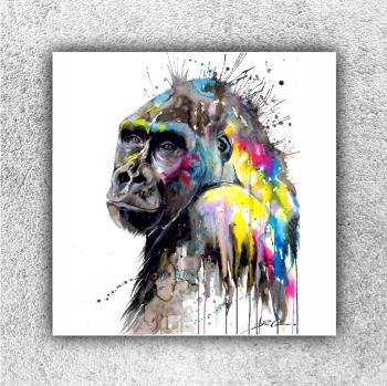 Foto na plátne Gorila art 70x70 cm