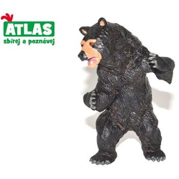 Atlas Medveď baribal (8590331038633)