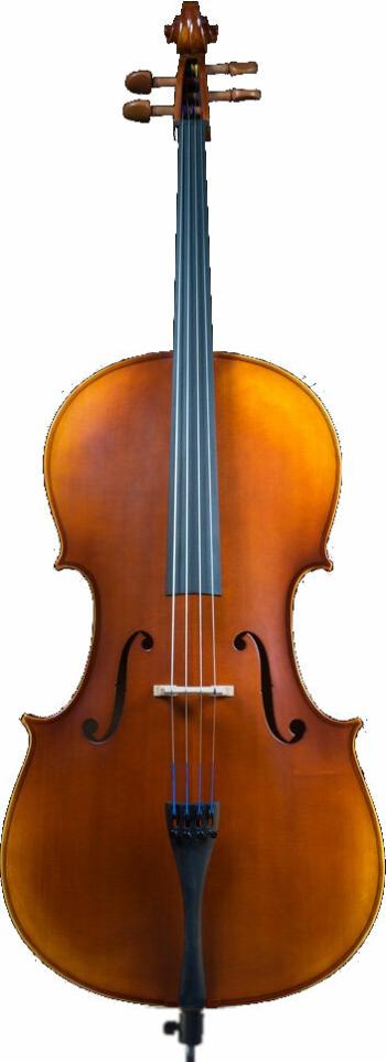 Pearl River PR-C01 1/2 Violončelo