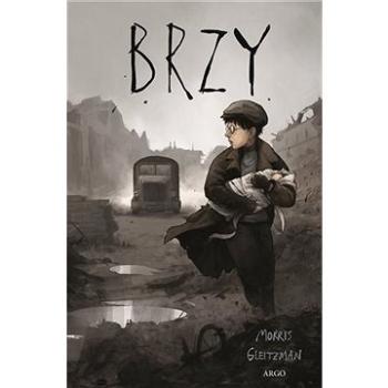 Brzy (9788025733912)