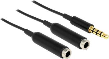 Delock 65575 jack audio Y kábel [1x jack zástrčka 3,5 mm - 2x jack zásuvka 3,5 mm] 25.00 cm čierna