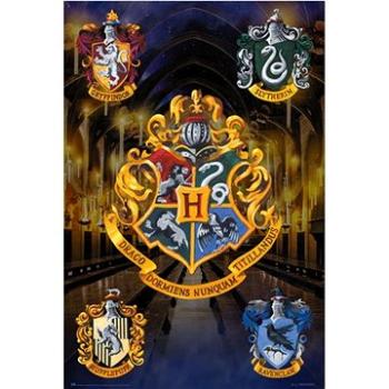 Harry Potter – Hogwarts – plagát (8435497277543)