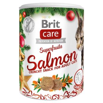 BRIT Care Cat Snack Christmas Superfruits maškrta pre mačky 100 g