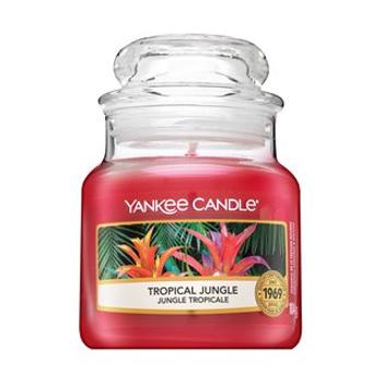 Yankee Candle Tropical Jungle votívna sviečka 104 g