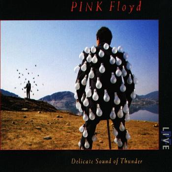 Pink Floyd - Delicate Sound Of Thunder (2 CD)