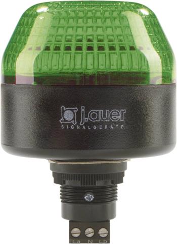 Auer Signalgeräte signalizačné osvetlenie LED IBL 802506313 zelená  trvalé svetlo, blikajúce 230 V/AC