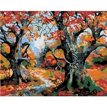 Maľovanie podľa čísel – Stromy a jesenná krajina (HRAmal00203nad)