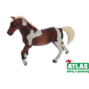 Atlas Kôň (8590331018642)