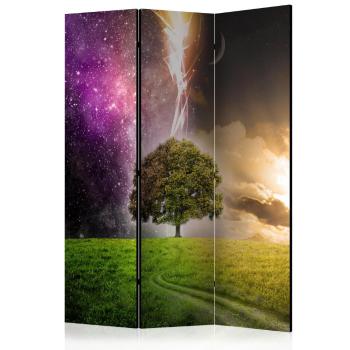 Paraván Magic Tree Dekorhome 135x172 cm (3-dielny)