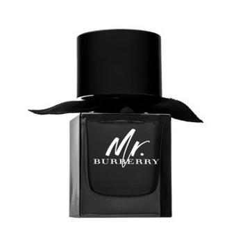 Burberry Mr. Burberry parfémovaná voda pre mužov 50 ml