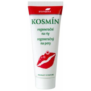 AR Kosmín regeneračná masť na pery 25 ml