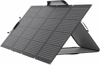 EcoFlow 220W Solar Panel Charger (1ECO1000-08)