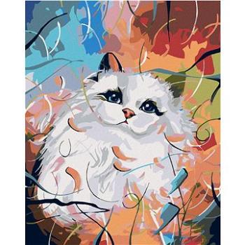Maľovanie podľa čísel – Biela mačička a farebné pozadie (HRAmal01119nad)