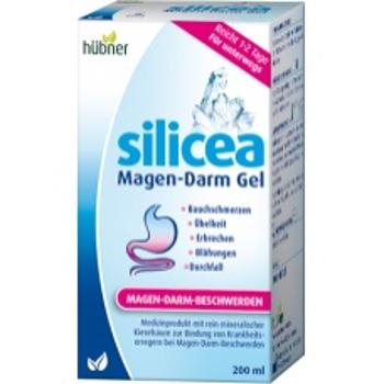 Hubner Silicea Gastro-Intestinal Gel