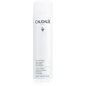 Caudalie Cleaners & Toners osviežujúca voda v spreji 300 ml