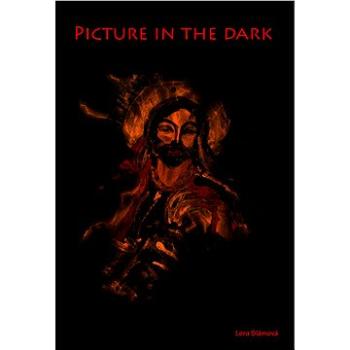 Picture in the dark (978-80-753-9004-2)
