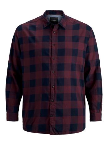 Jack&Jones PLUS Pánska košeľa JJEGINGHAM Loose Fit 12183107 Port Royale 5XL