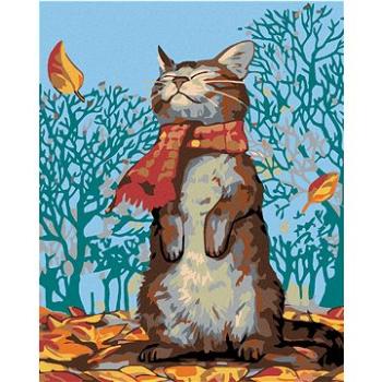 Maľovanie podľa čísel – Mačka a jesenné počasie (HRAmal01099nad)