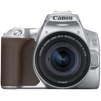 Canon EOS 250D strieborný + 18–55 mm IS STM (3461C001)