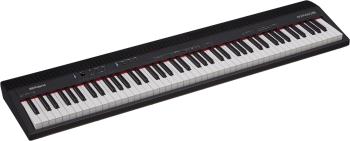 Roland GO-88P