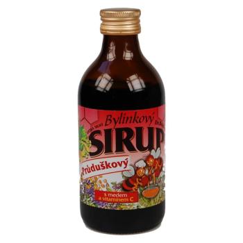 DR. BOJDA Sirup bylinkový prieduškový extra silný s medom 325 g