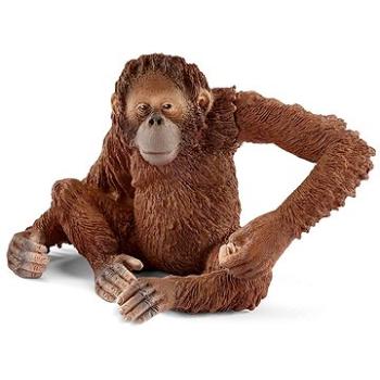 Schleich 14775 Orangutan samica (4055744012679)