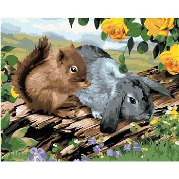 Maľovanie podľa čísel – Veverička a králik na pni (Howard Robinson) (HRAbz33408nad)